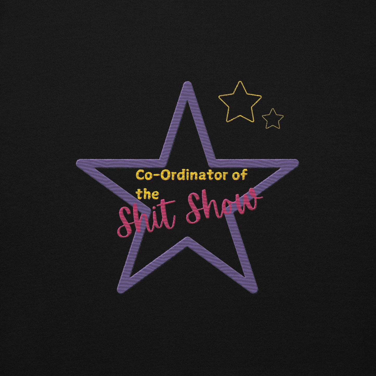 Co-Ordinator of the Shit Show Unisex Hoodie