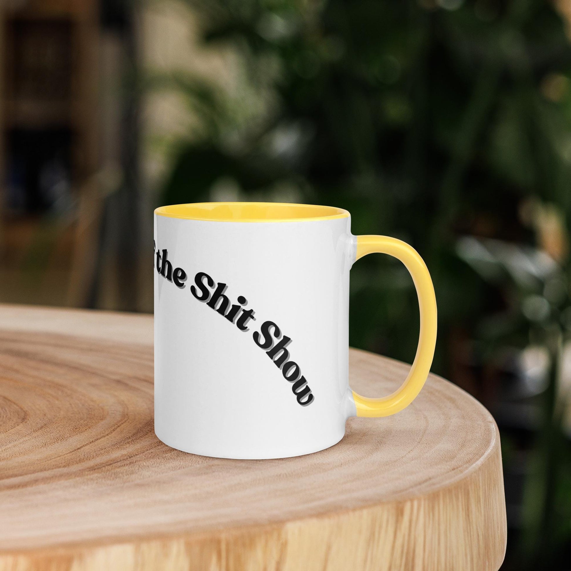 Co-Ordinator of the Shit Show Mug